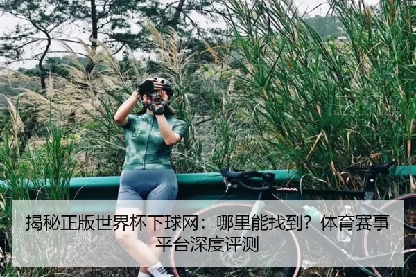 揭秘正版世界杯下球网：哪里能找到？体育赛事平台深度评测